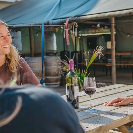 Family & Surfhostel Petten Exteriér fotografie