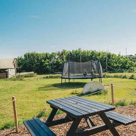 Family & Surfhostel Petten Exteriér fotografie